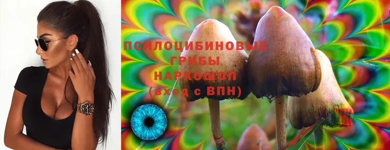 Галлюциногенные грибы MAGIC MUSHROOMS  Кунгур 